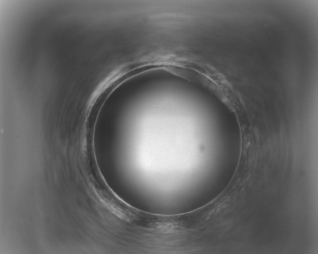 X0000080730344200612221258