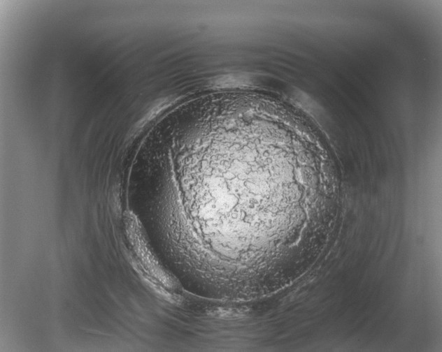 X0000080730345200612221258