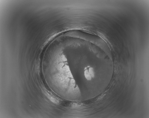 X0000080730346200612221258