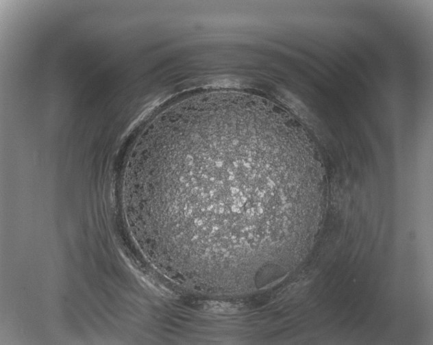 X0000080730347200612221258