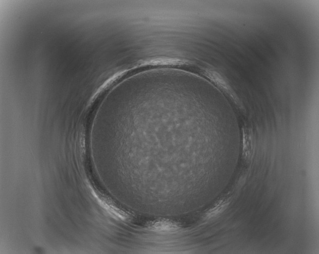 X0000080730348200612221259