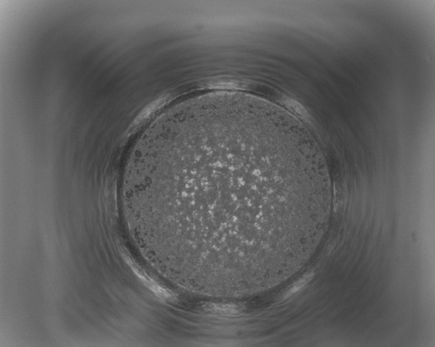 X0000080730349200612221259