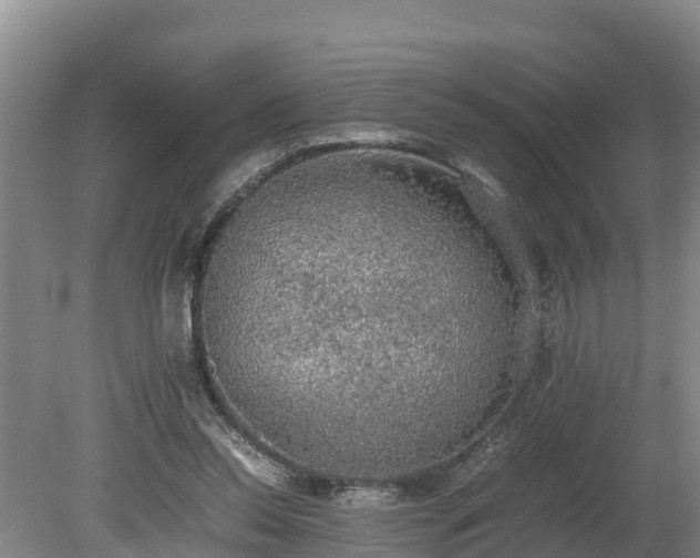 X0000080730350200612221259