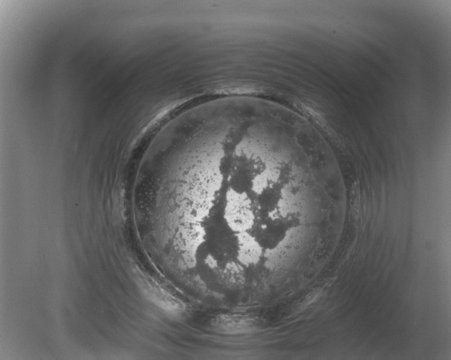 X0000080730351200612221259