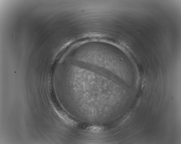 X0000080730352200612221259