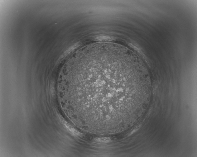 X0000080730353200612221259