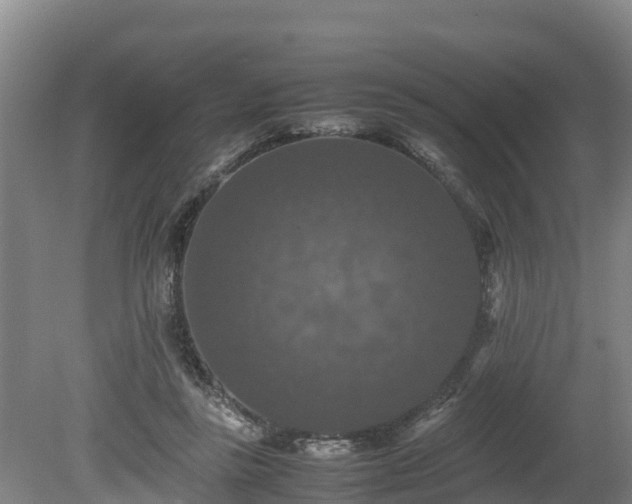 X0000080730355200612221259