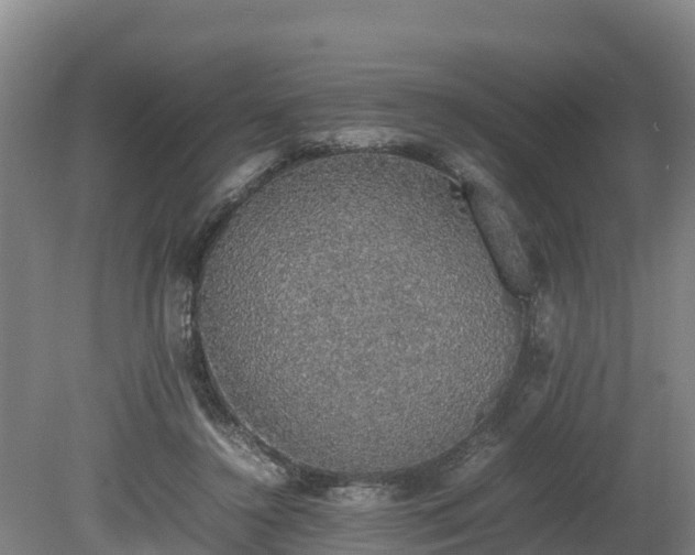 X0000080730356200612221259