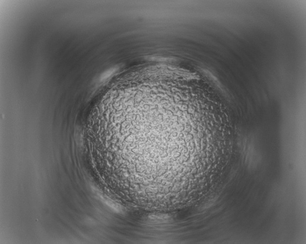 X0000080730357200612221259