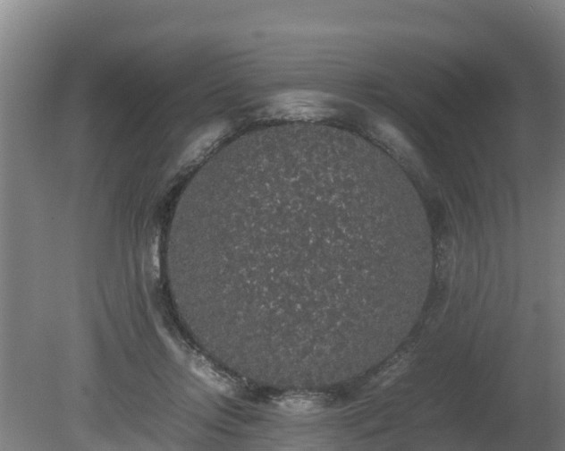 X0000080730358200612221259