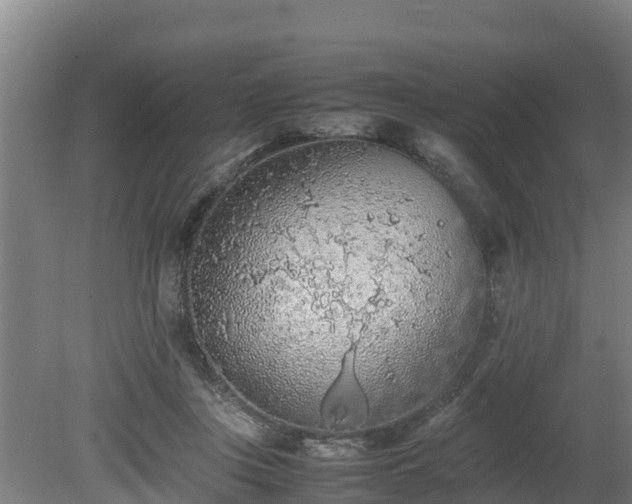 X0000080730359200612221259