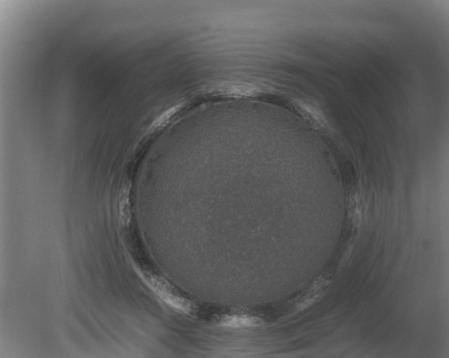 X0000080730360200612221259