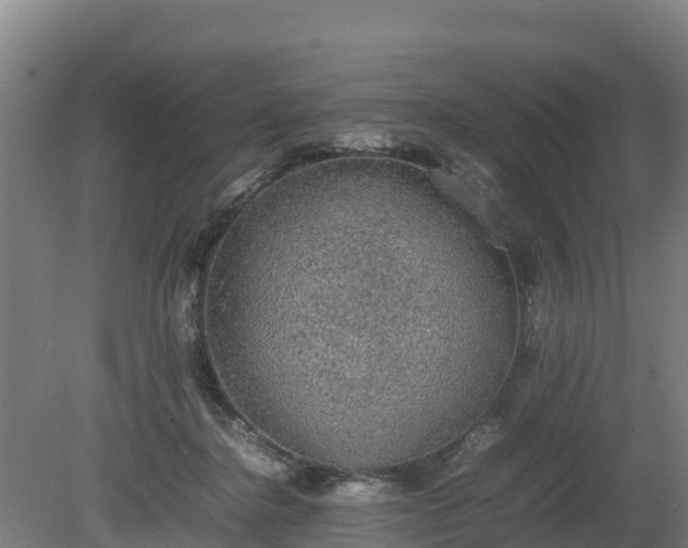 X0000080730364200612221259