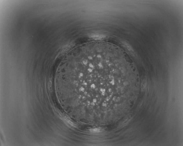 X0000080730365200612221259