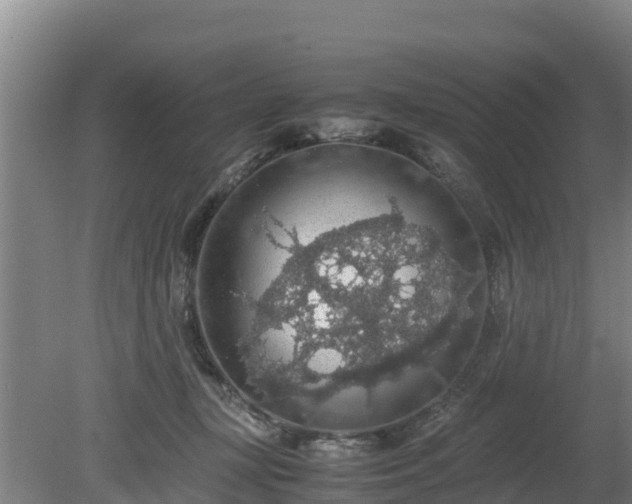 X0000080730367200612221259