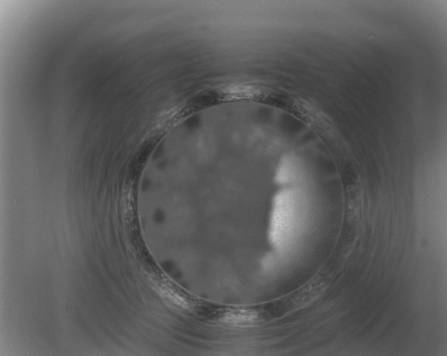 X0000080730369200612221259