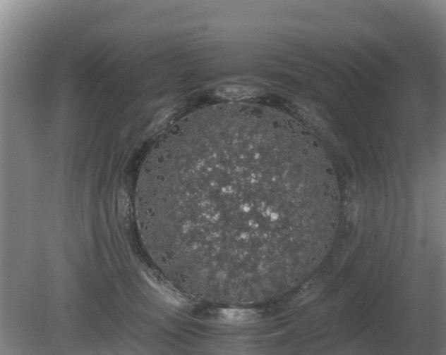 X0000080730371200612221259