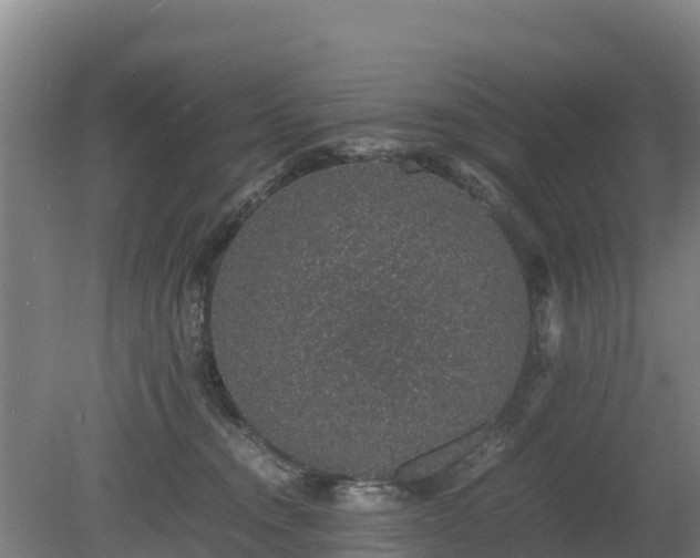 X0000080730372200612221259