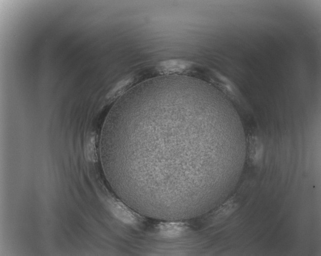 X0000080730378200612221259