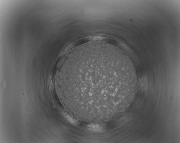 X0000080730381200612221259