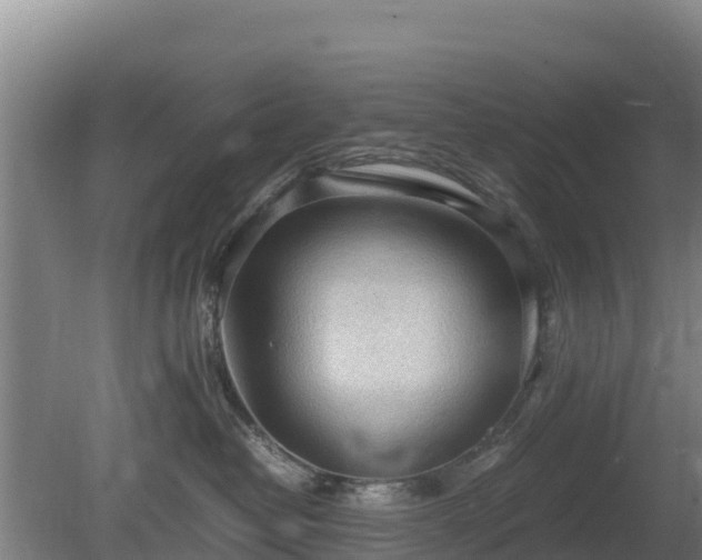 X0000080730382200612221259