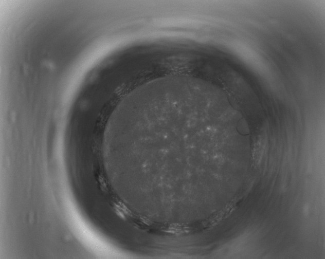 X0000080730383200612221259