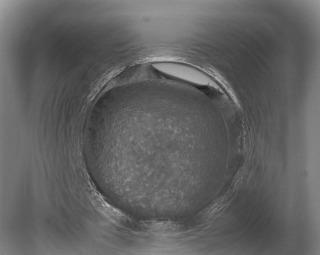 X0000080730385200612221258