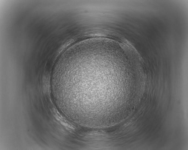 X0000080730386200612221258