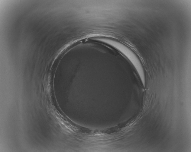 X0000080730387200612221258