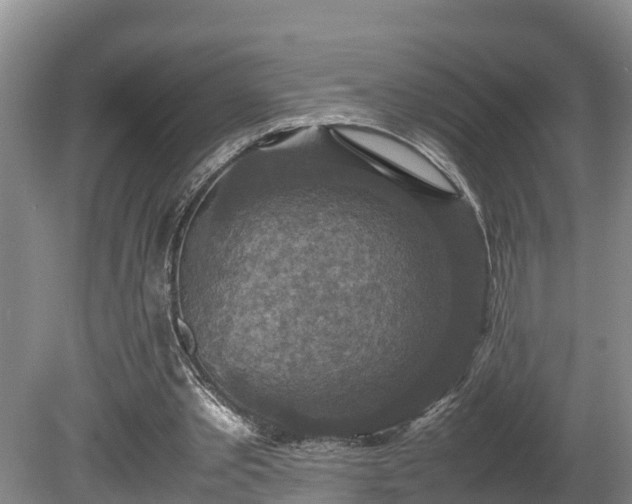 X0000080730389200612221258