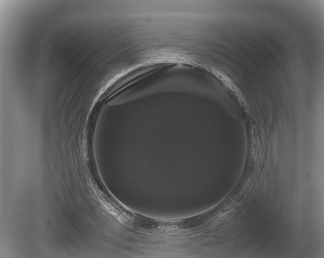 X0000080730391200612221258