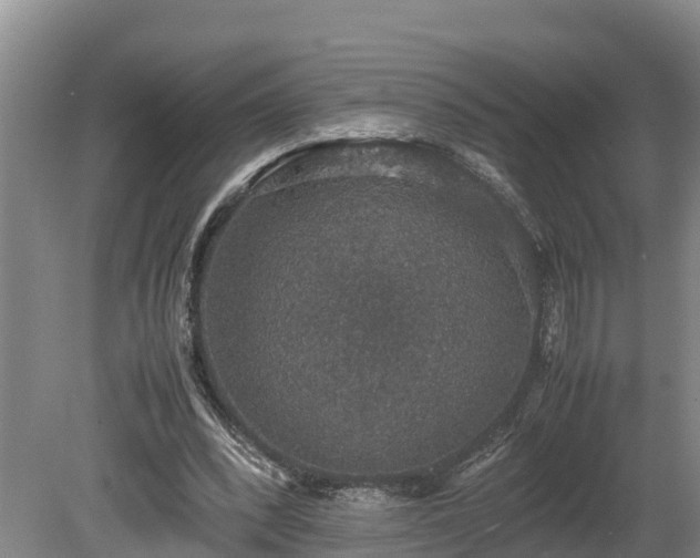 X0000080730392200612221258