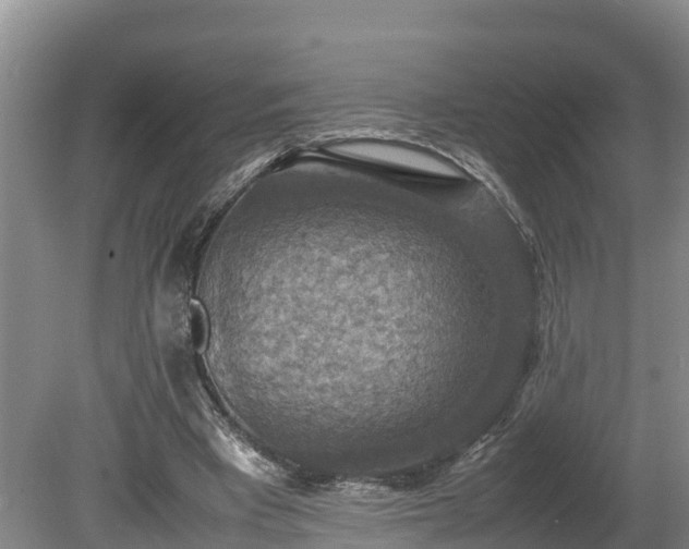 X0000080730393200612221258