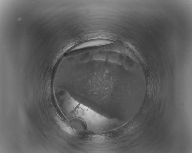 X0000080730394200612221258