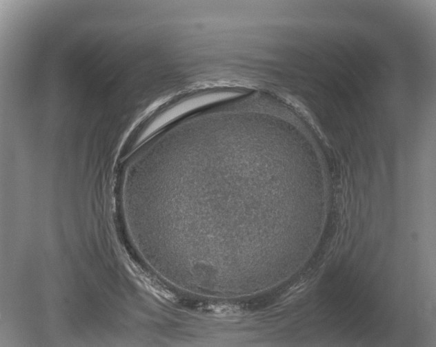 X0000080730395200612221258