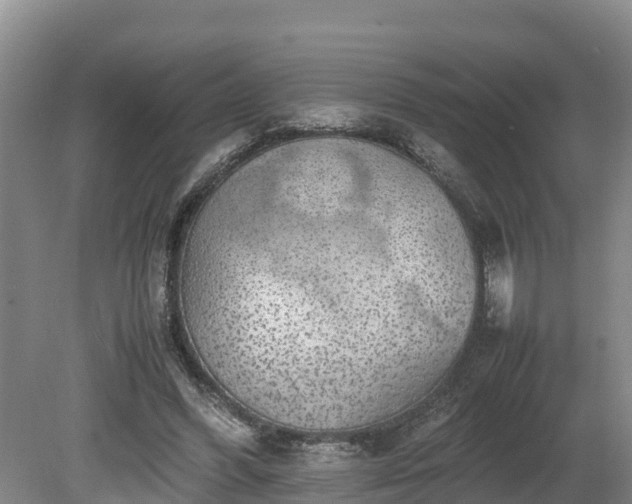 X0000080730396200612221258