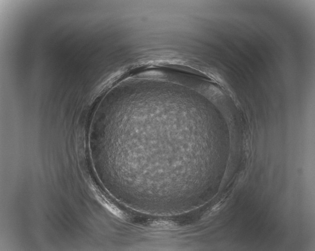 X0000080730397200612221258