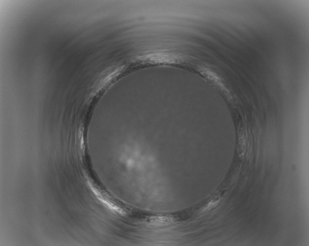 X0000080730398200612221258