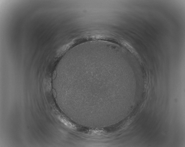 X0000080730401200612221258