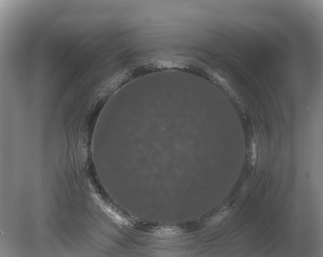 X0000080730402200612221258