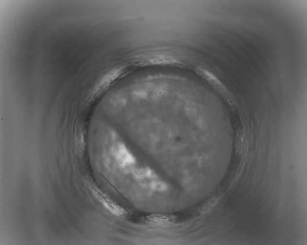 X0000080730405200612221258