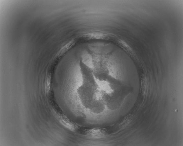 X0000080730406200612221258