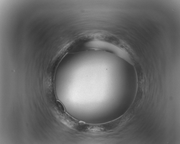 X0000080730407200612221258