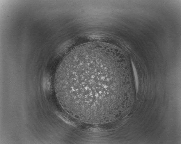 X0000080730408200612221258