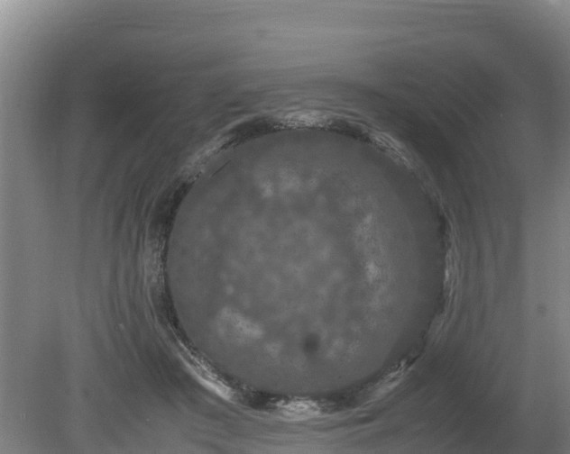 X0000080730409200612221258