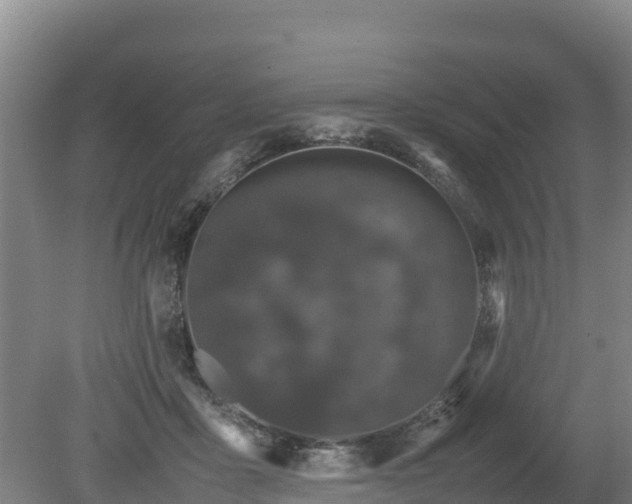 X0000080730411200612221258