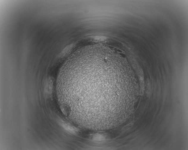 X0000080730412200612221258