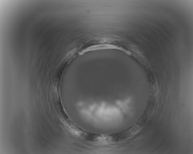 X0000080730415200612221258