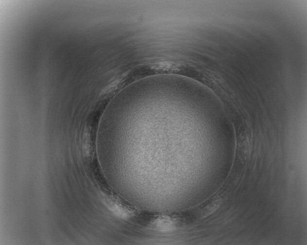 X0000080730416200612221258