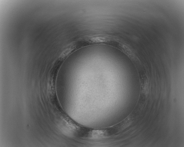 X0000080730418200612221258